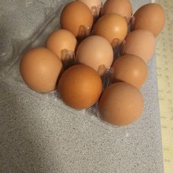 Fresh Eggs