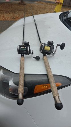 2 fethastyx rods and reels