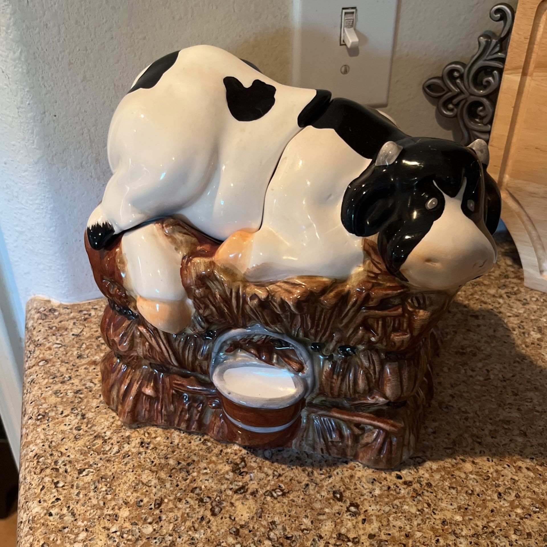 Cow Canister Katy Or Conroe