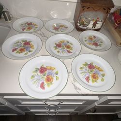 Corelle dinner plates