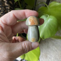 Polychrome Mushroom