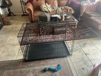 Medium size Dig crate from Amazon