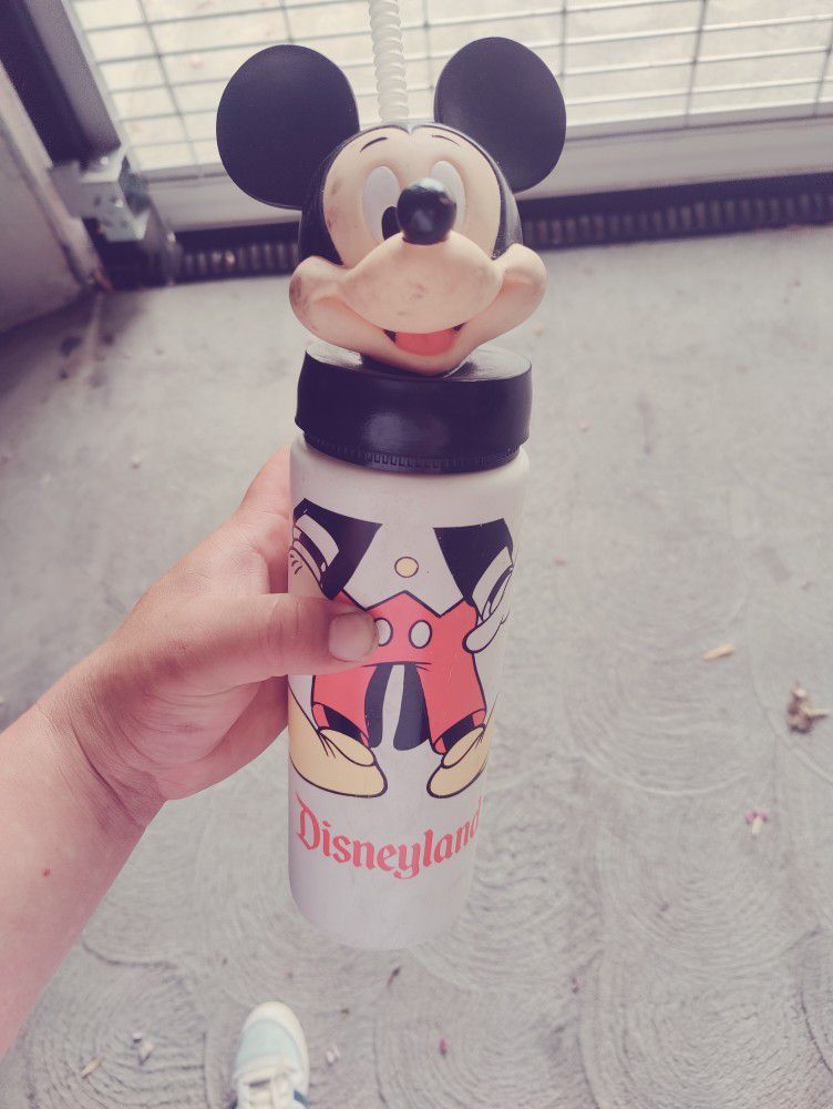 Vintage Disneyland Cup Collectable
