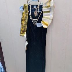 Ladies Costumes Different Prices