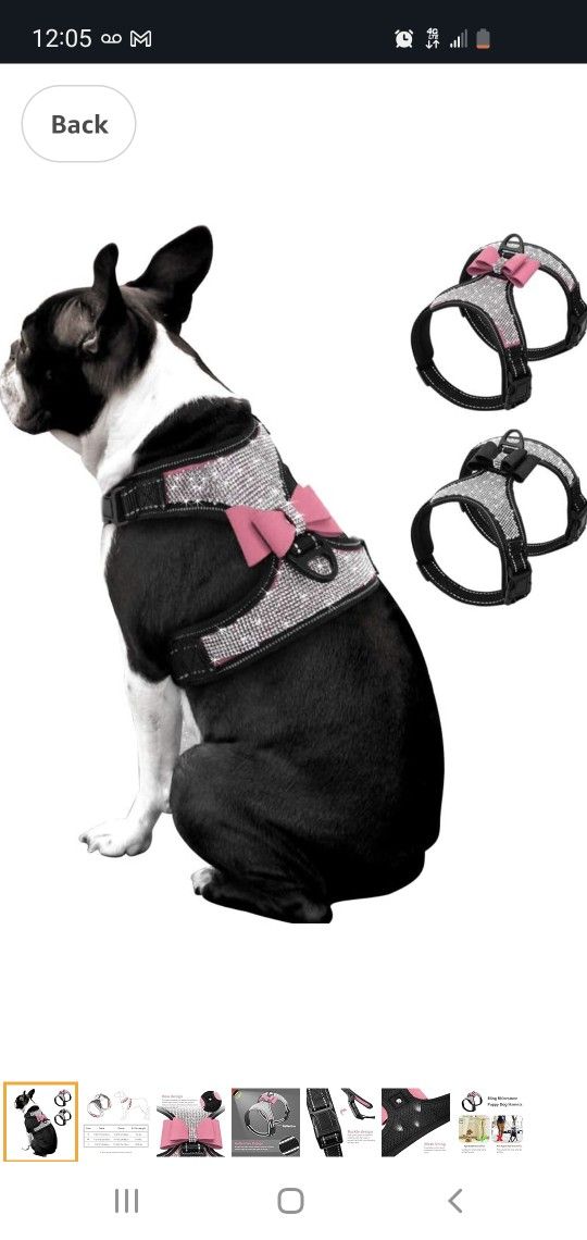 Small Dog Harness New