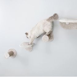 TRIXIE Lookout Wall Mount Cat Lounge 5pc Set
