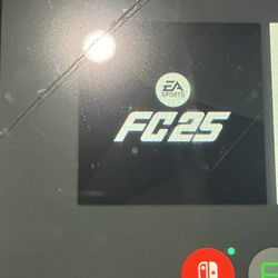 FIFA 25 No Scratches (working)