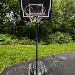Lifetime Basketball Hoop