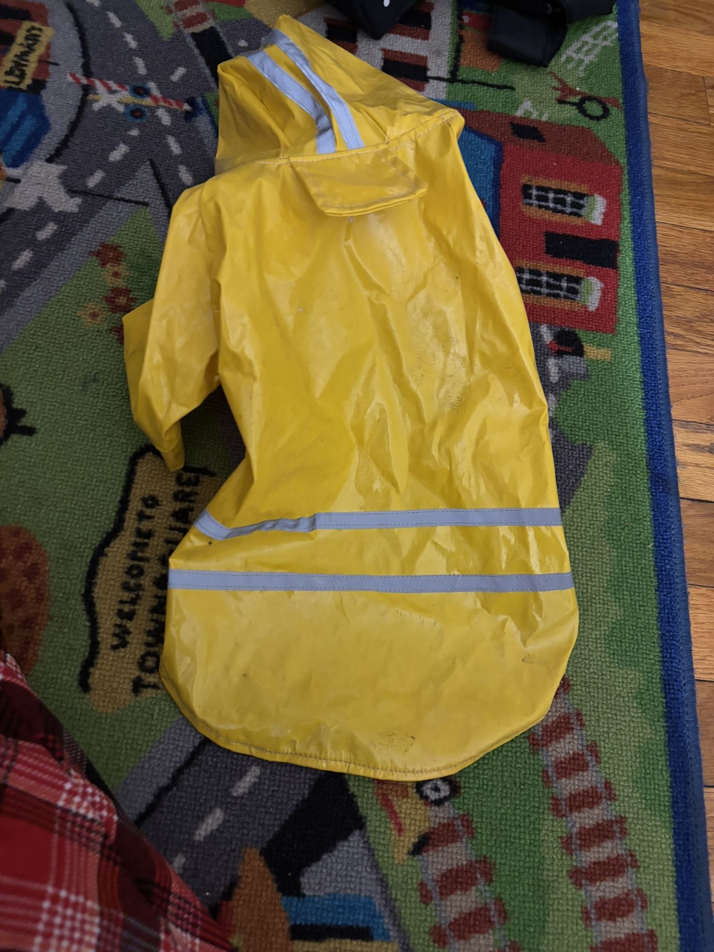 Swimwear And Dog Items