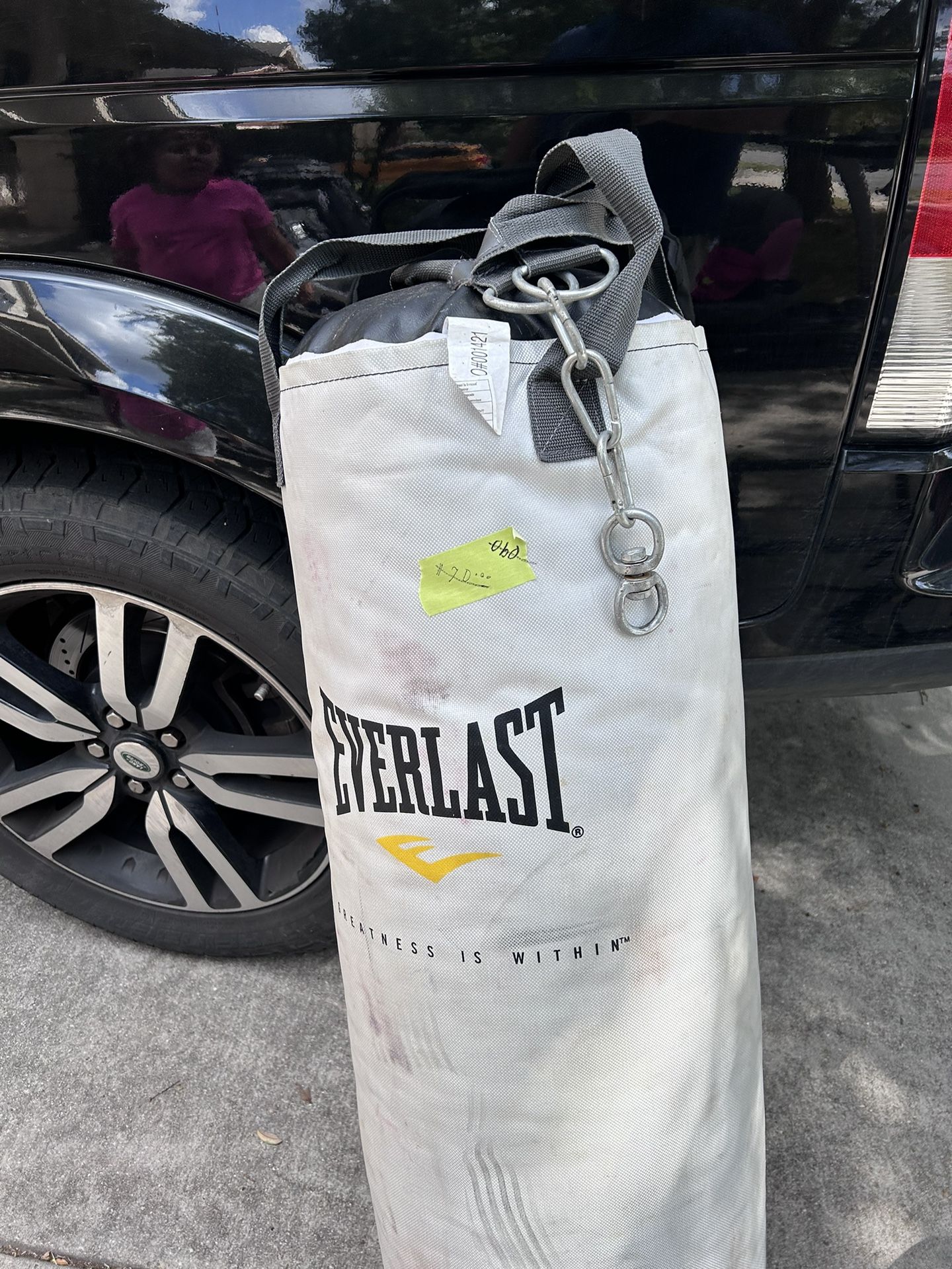 Everlast Punching Bag