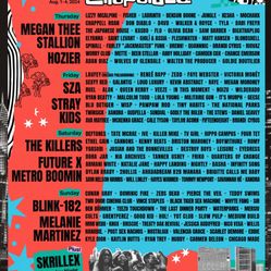 2 Day Lollapalooza Tickets (Saturday And Sunday)
