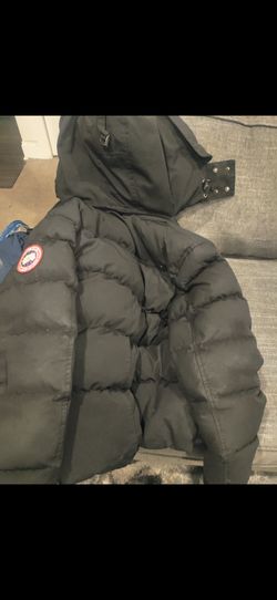 Canada goose