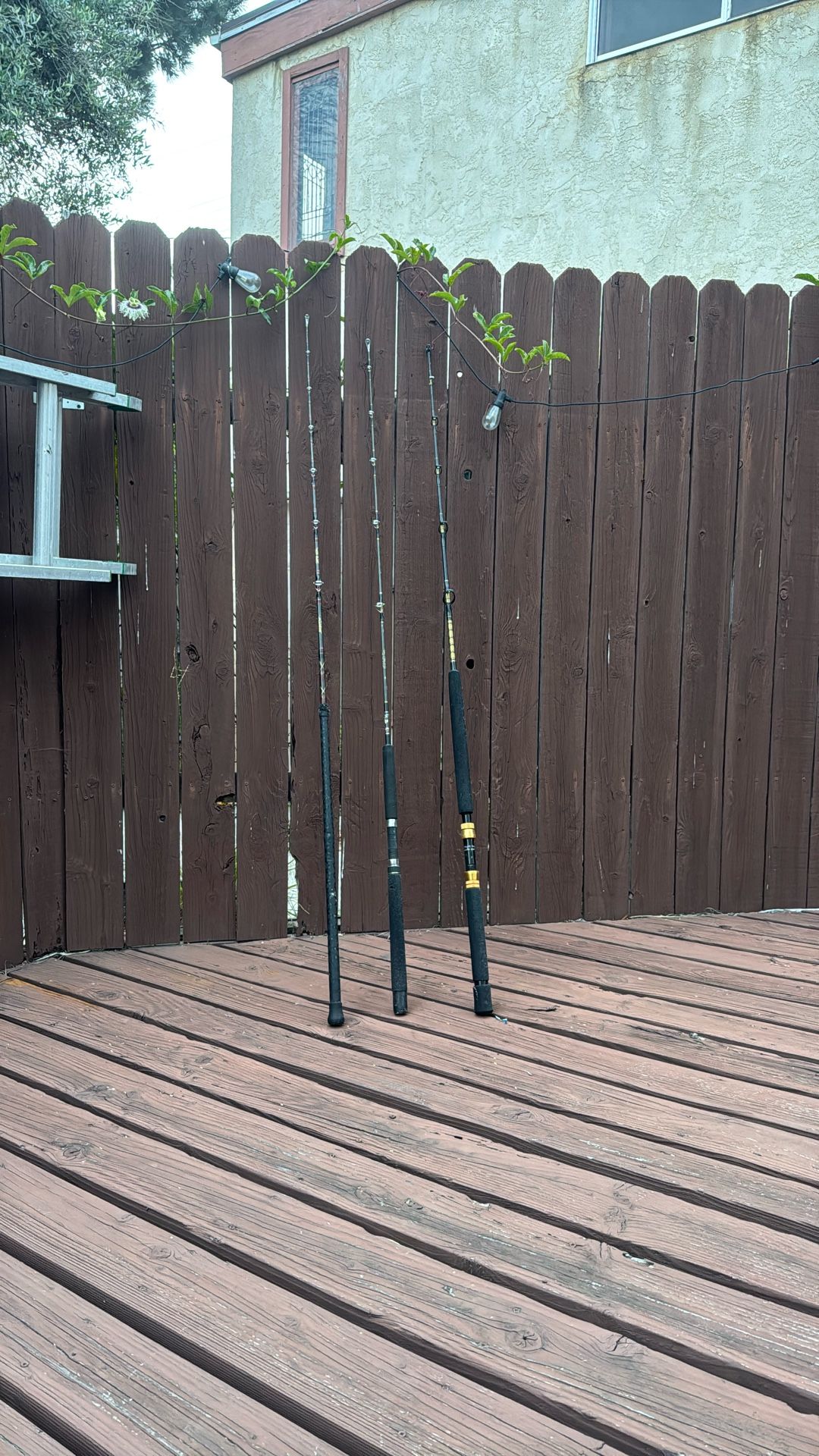 Fishing Rods