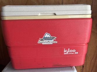 Used decent Igloo Ice Chest