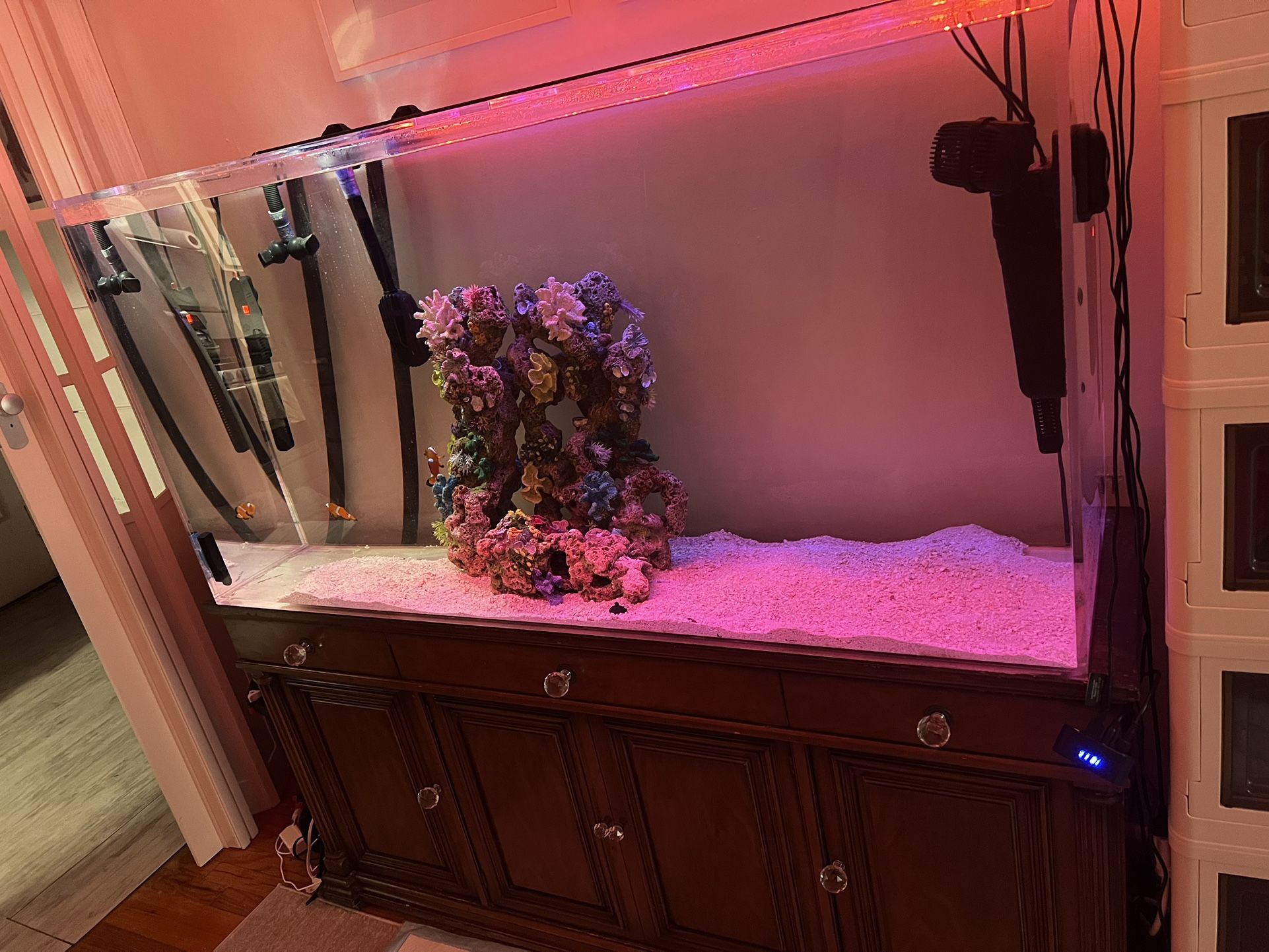 150 Gallon Acrylic Aquarium with stand 