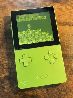 Analogue pocket kiwi