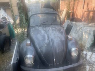 1972 Vw Beetle