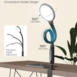 ALBINA Light Therapy Lamp, 10000Lux, Full Spectrum and UV-Free LED Therapy Light, Happy Lamp with Flexible Gooseneck and 360°Swivel Base, Clip Lamp wi