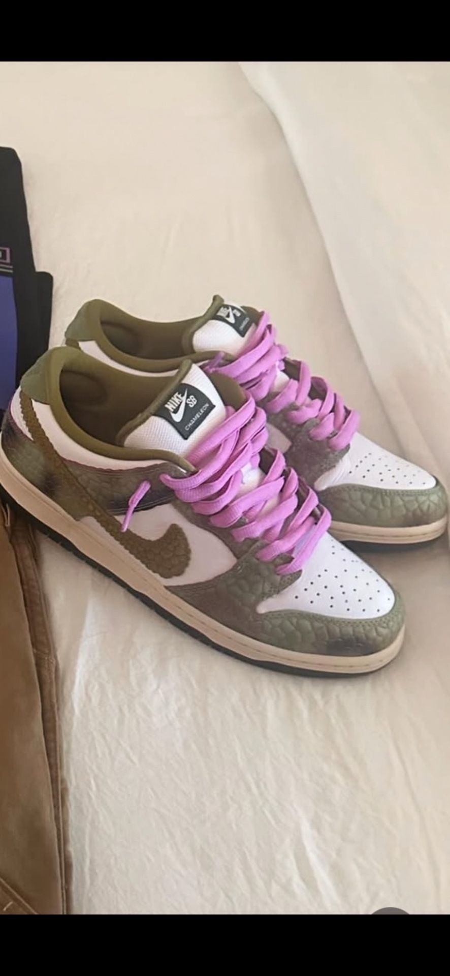 Chameleon Nike Sb Work Once Size 11.5 $135