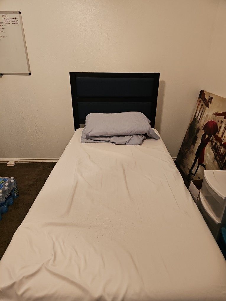 Twin Bed $20