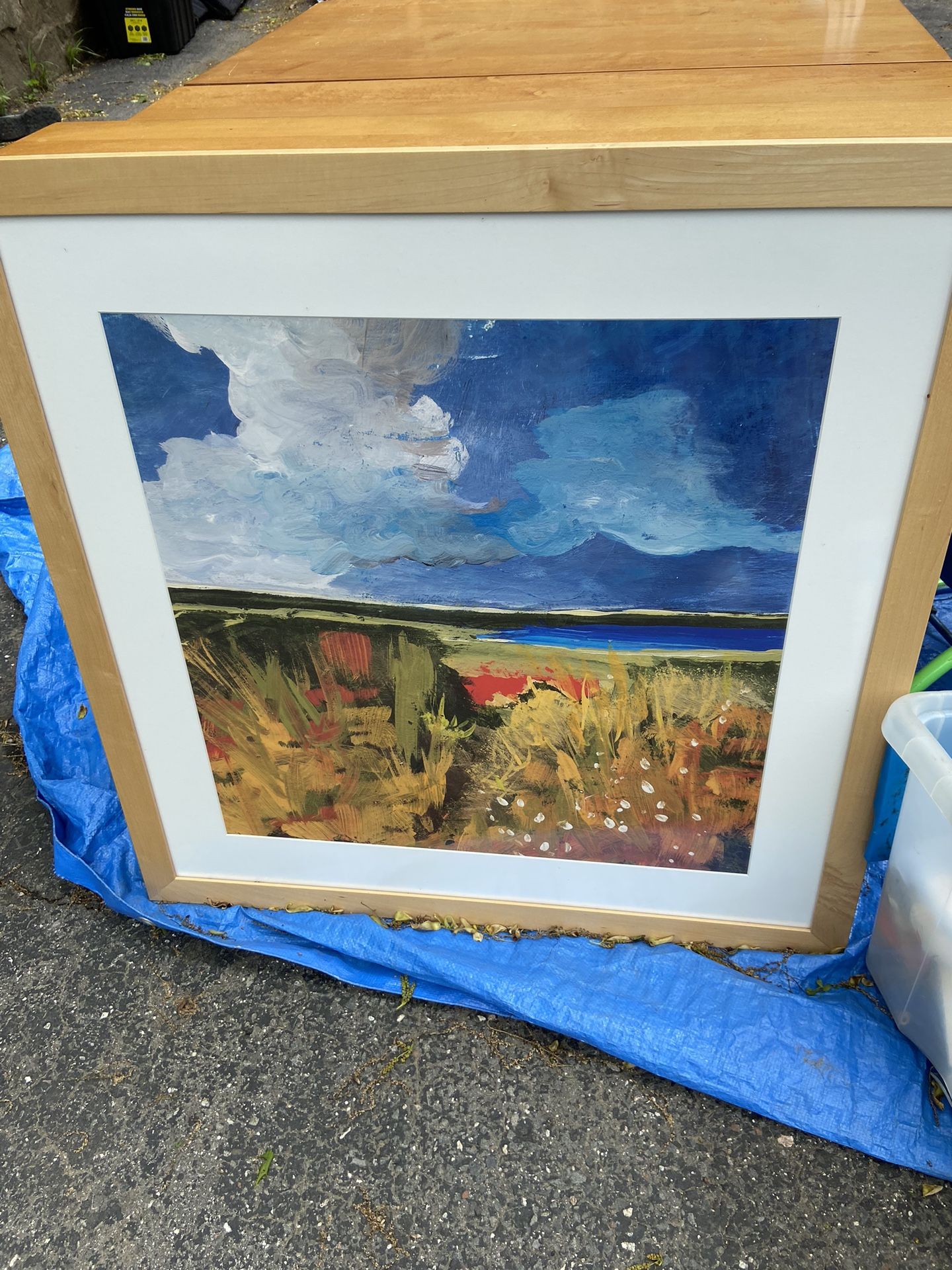 Framed Poster Art