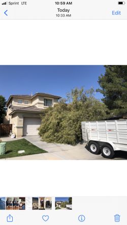 🪵Tree Trimming🐌