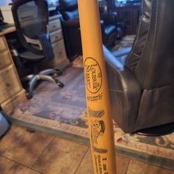 Word series champion  2008