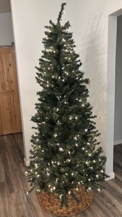 Christmas Tree