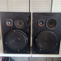 Speaker three-way 10-in woofer