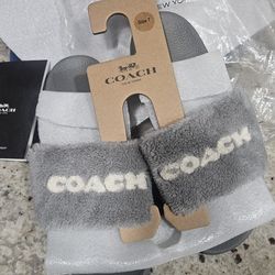 Coach Slippers