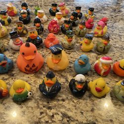 Rubber Duck collection  $50 or best offer 