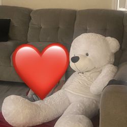 Giant Teddy