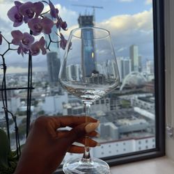 Set of Wine Glasses. Modern Clear Glass. Elegant Stemware (Set of 16)