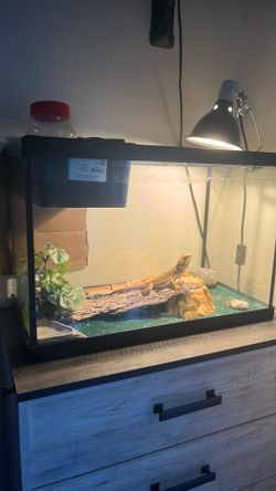 Fish tank