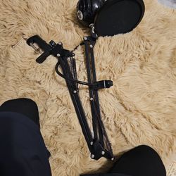 Mic