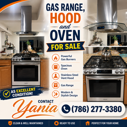 Gas range and hood