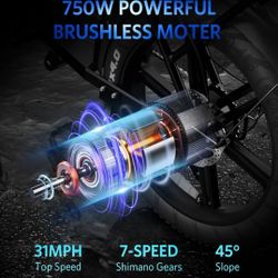 E-bike 