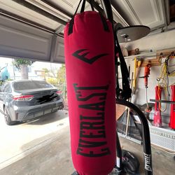 Brand New Boxing Setup
