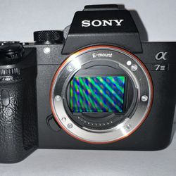 Sony Camera A7iii