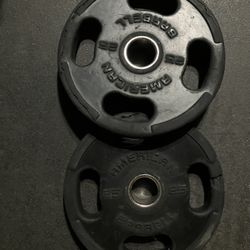 25lb Weight Plates