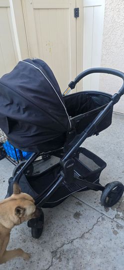 Graco Baby Stroller