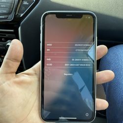 iPhone 11