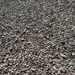 Leach Rock For Sale