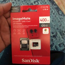 400 GB Micro SD 