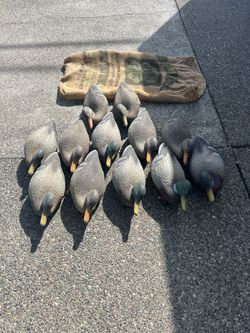 Vintage Decoy Ducks. Collectibles.