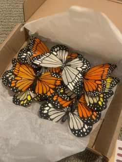 Box of butterflies for arts and crafts