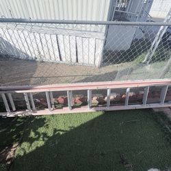 22 Foot Ladder 