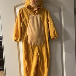 Lion King Costume / New 