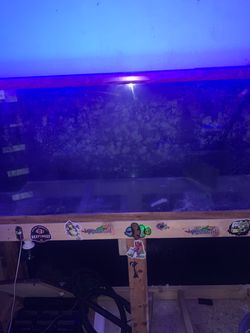 125g Aquarium
