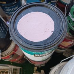 Pinturas De Galon $ 20 Cada Una 